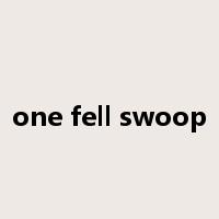 one fell swoop是什么意思