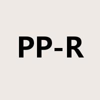 PP-R是什么意思