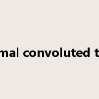proximal convoluted tubule是什么意思