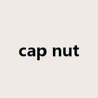 cap nut是什么意思