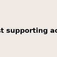 best supporting actor是什么意思