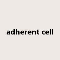 adherent cell是什么意思