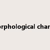 morphological change是什么意思