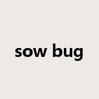 sow bug是什么意思