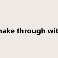 make through with是什么意思