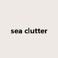 sea clutter是什么意思