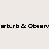 Perturb & Observe是什么意思