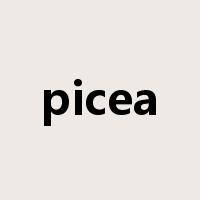 picea是什么意思
