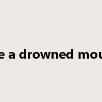 like a drowned mouse是什么意思