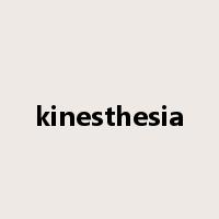 kinesthesia是什么意思