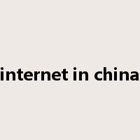 internet in china是什么意思