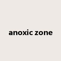anoxic zone是什么意思