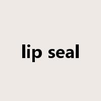 lip seal是什么意思