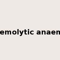 haemolytic anaemia是什么意思