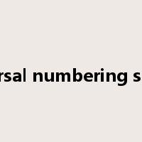 universal numbering system是什么意思