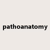 pathoanatomy是什么意思