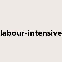labour-intensive是什么意思