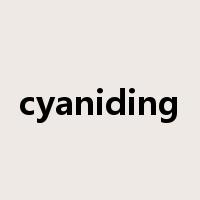 cyaniding是什么意思