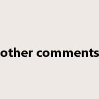 other comments是什么意思