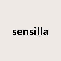 sensilla是什么意思