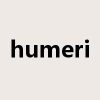 humeri是什么意思