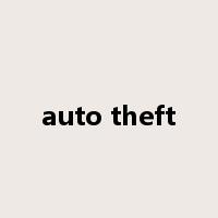 auto theft是什么意思