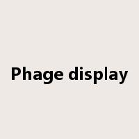 Phage display是什么意思