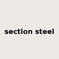 section steel是什么意思