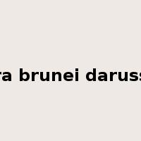 negara brunei darussalam是什么意思