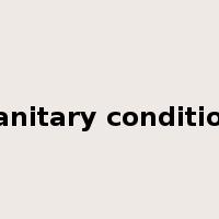 sanitary condition是什么意思