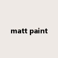 matt paint是什么意思