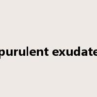 purulent exudate是什么意思
