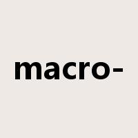 macro-是什么意思