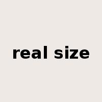 real size是什么意思