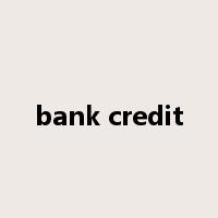 bank credit是什么意思
