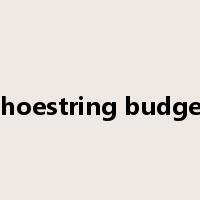 shoestring budget是什么意思