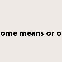 by some means or other是什么意思