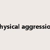 physical aggression是什么意思