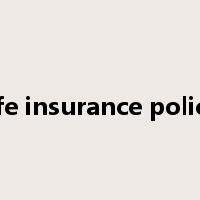 life insurance policy是什么意思