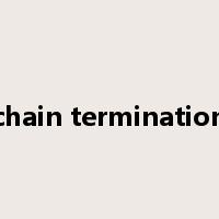 chain termination是什么意思