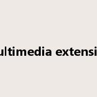 multimedia extension是什么意思