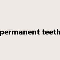permanent teeth是什么意思
