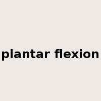 plantar flexion是什么意思
