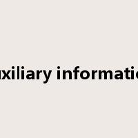 auxiliary information是什么意思