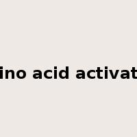 amino acid activation是什么意思