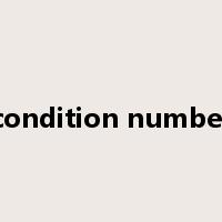 condition number是什么意思