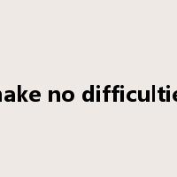 make no difficulties是什么意思