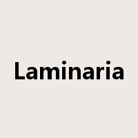 Laminaria是什么意思
