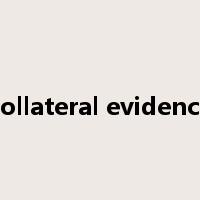 collateral evidence是什么意思