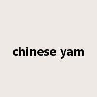 chinese yam是什么意思